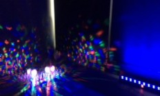 IMG_0819