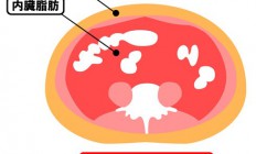 内臓脂肪