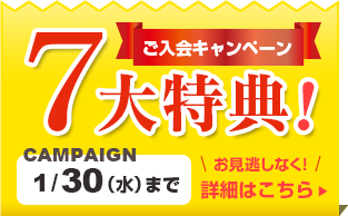 campaign201901