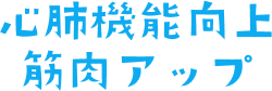 心肺機能向上 筋力アップ
